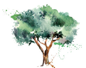 முதல் அடி - சிறுகதை